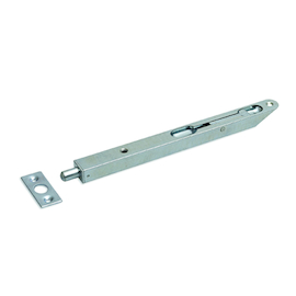BASCULESCHUIF 892 L250xBR17xD15mm - pin Ø10x16mm - AH - verzinkt Productafbeelding