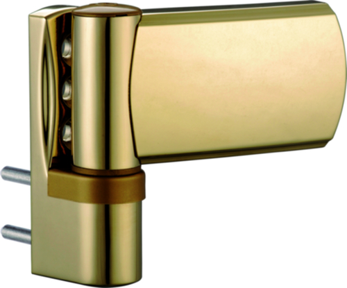 gQ záv.100 18,5-21,5 zlaVD zlatý leštěný product photo BIGPIC L