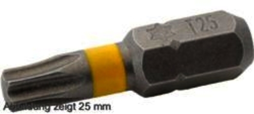 gQ Bit 25mm  Torx T25 1 sada = 10ks fotografie výrobku