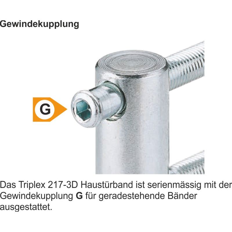 ANUBA Haustür-Einbohrband Triplex 217-3D Produktbild BIGDET L