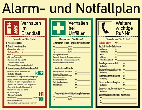 Alarm-/Notfallplan L620xB480 mm  ASR A1.3/DIN EN ISO 7010/DIN 67510 Kunststoff Produktbild BIGPIC L