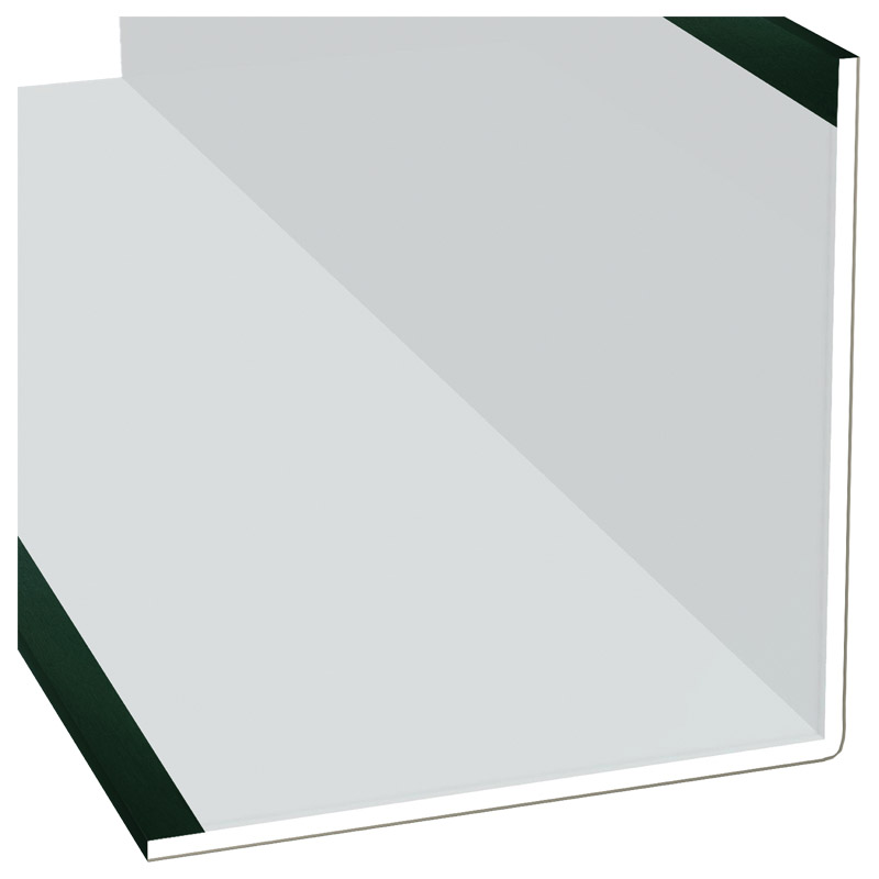 Winkelprofil 100x100x3mm Lg. 6,00m Außen foliert 61 2505-167 Dunkelgrün Produktbild BIGPIC L
