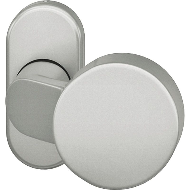FS-Türknopf auf ovaler Rosette unsichtbare Befestigung Aluminium naturfarbig Produktbild BIGPIC L