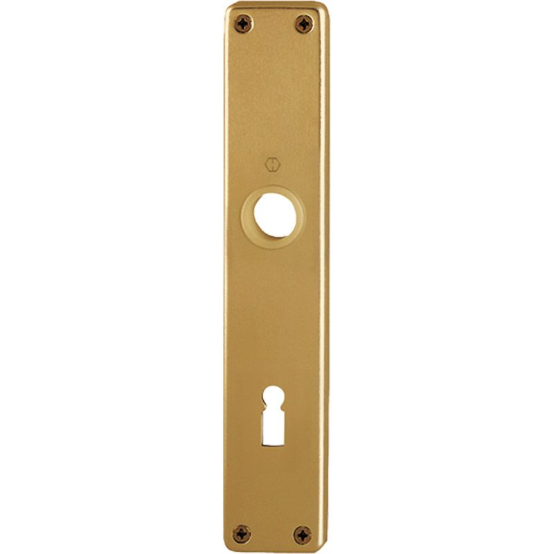 HOPPE Langschild *202SP* Produktbild BIGPIC L