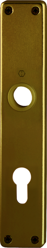 202SP Paar/F4 Alu Bronze//Profilzylinder 72mm///Führung ø18mm Produktbild BIGPIC L