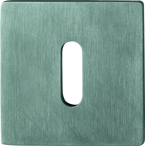 E848S-SK Paar/F69 Edelstahl matt//Ovalbart/ Produktbild BIGPIC L