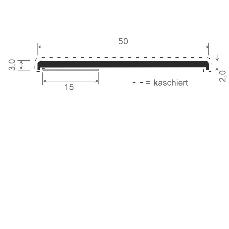 MENKE PVC-Flachprofil mit abgerundeten Ecken und Schaumklebeband Produktbild BIGSKZ L