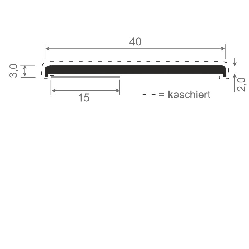 MENKE PVC-Flachprofil mit abgerundeten Ecken und Schaumklebeband Produktbild BIGSKZ L