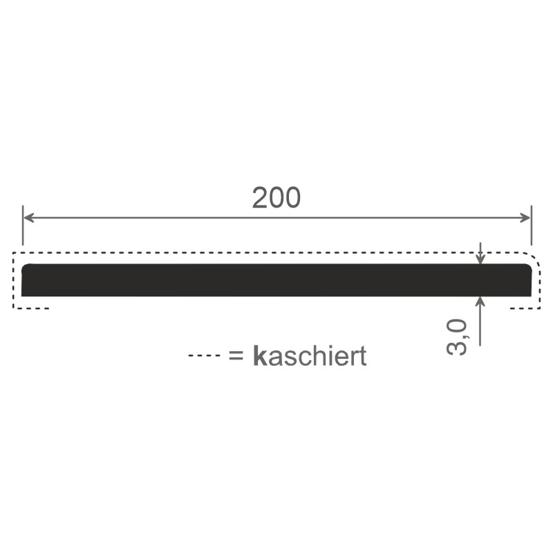 Flachprofil 200x3mm Lg. 6,00m foliert 49240 Winchester Produktbild BIGSKZ L