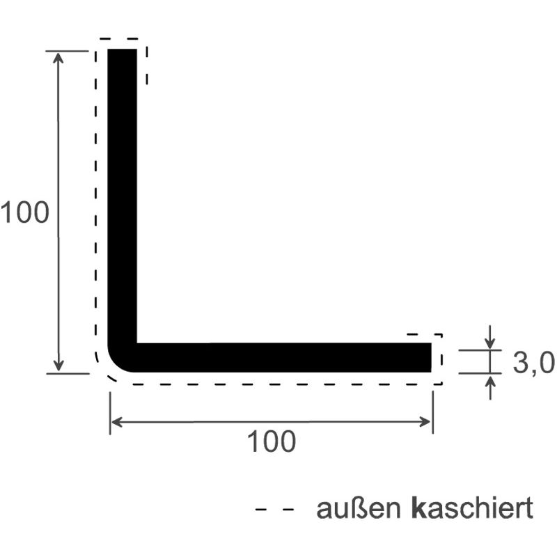 Winkelprofil 100x100x3mm Lg. 6,00m Außen foliert 70 1605-167 Anthrazitgrau Produktbild BIGSKZ L