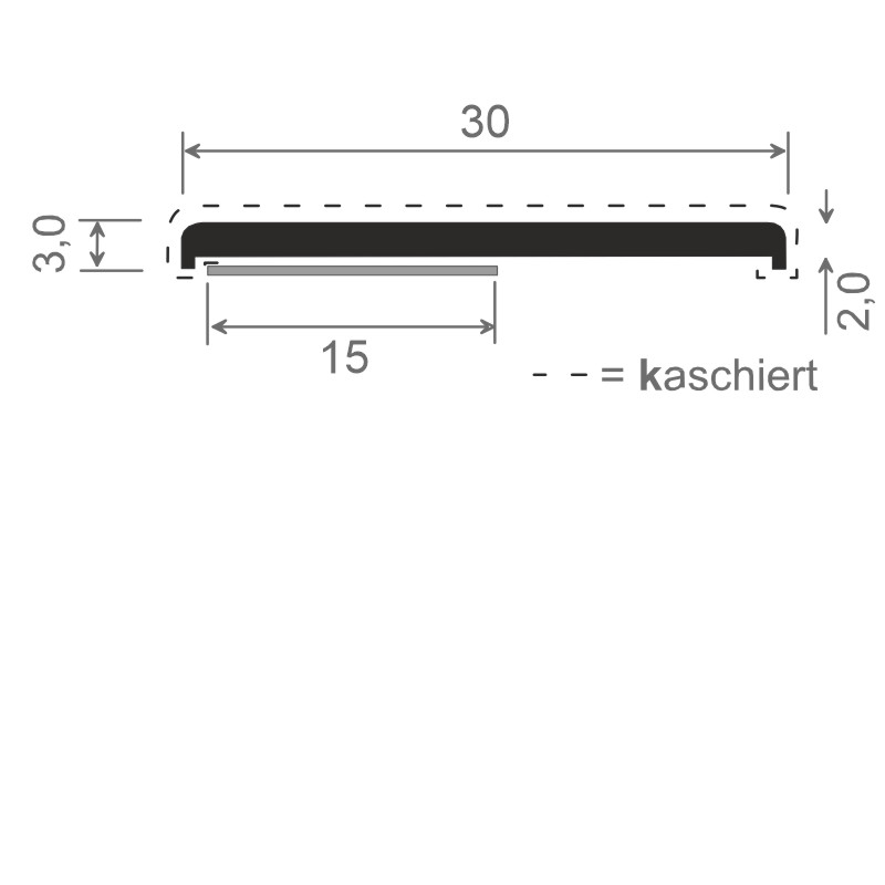 MENKE PVC-Flachprofil mit abgerundeten Ecken und Schaumklebeband Produktbild BIGSKZ L