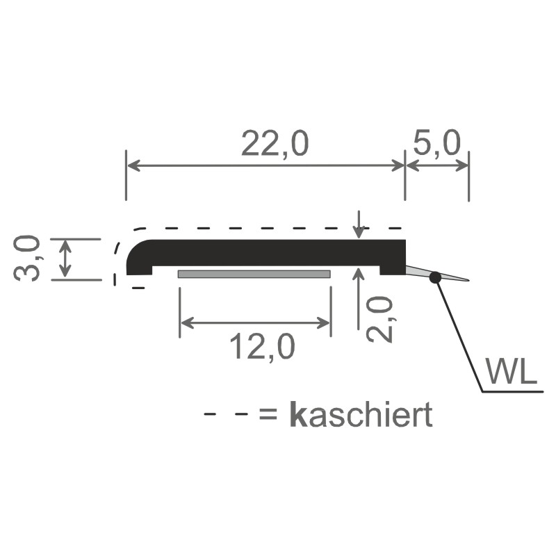 Flachprofil 22x3mm WL SK Lg. 6,00m foliert, WL Douglasie217 8001-167 Golden Oak Produktbild BIGSKZ L