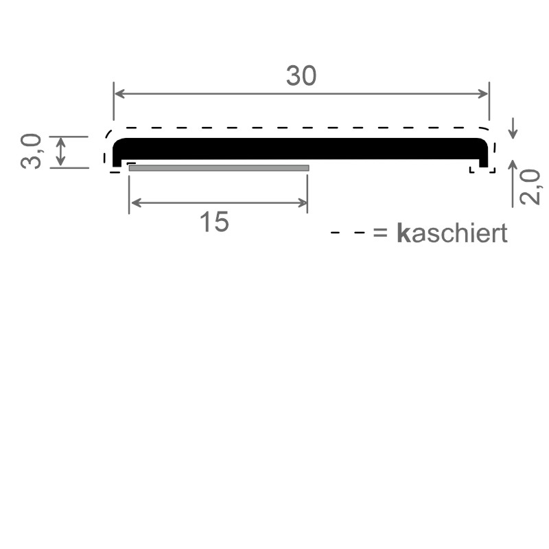 MENKE PVC-Flachprofil mit abgerundeten Ecken und Schaumklebeband Produktbild BIGSKZ L