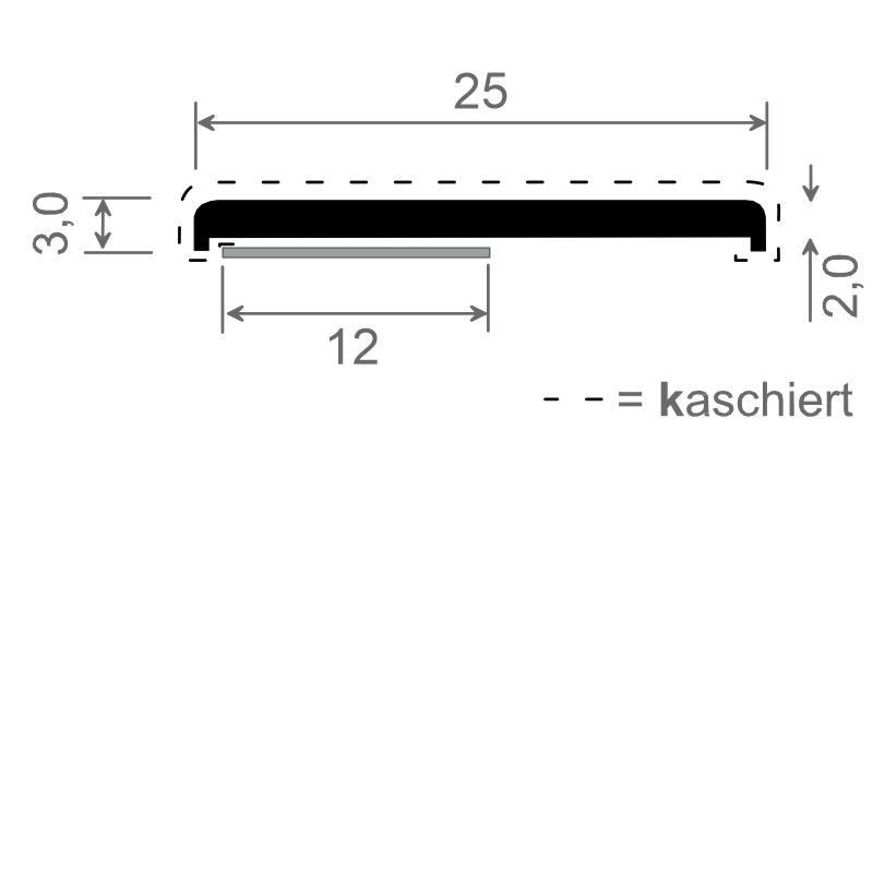 MENKE PVC-Flachprofil mit abgerundeten Ecken und Schaumklebeband Produktbild BIGSKZ L