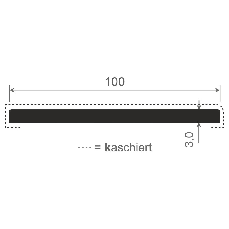 Flachprofil 100x3 mm Lg. 6,00 mfoliert470 1014  MATTEX DB 703 [159] Produktbild BIGSKZ L