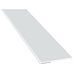 Flachprofil 50x2,5/1,5mm SK Lg. 6,00m Weiß, VE: 60m Produktbild