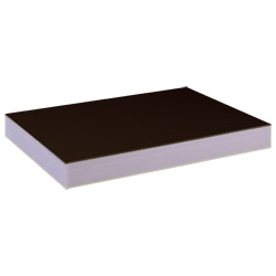 greenteQ Sandwichplatte HPL/HD/PVC einseitig HPL Renolit, XPS-Kern, Farbtöne Produktbild