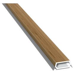 Trapez-Sprosse 23mm SK Lg. 6,00m foliert, mit zwei schwarzen Weichlippen 49240 Winchester Produktbild