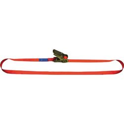 Zurrgurt EN 12195-2 25 mm mit Ratsche DOLEZYCH Produktbild