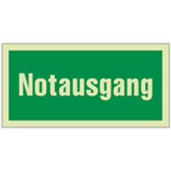 Rettungszeichen *Notausgang* Querformat grün-weiß Produktbild