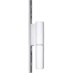 ROTO DoorLine Rollenband PB 10 Produktbild