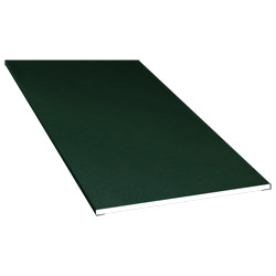 Flachprofil 100x3mm Lg. 6,00m foliert 61 2505-167 Dunkelgrün Produktbild