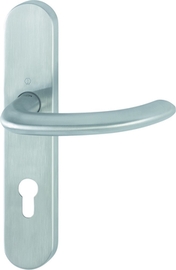 E1138/353H Garnitur / F69-S Edelstahl matt SecuSan® (nur für Innenbereich geeignet) / fest/drehbar Kugelarretierung mit Rückholfeder / 8 mm / Profilzy Produktbild