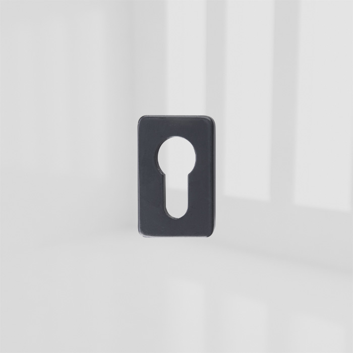 ASPIRE ESCUTCHEON PLATE ANTRACITE GREY 7016 product photo BIGPIC L