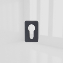 ASPIRE ESCUTCHEON PLATE ANTRACITE GREY 7016 product photo