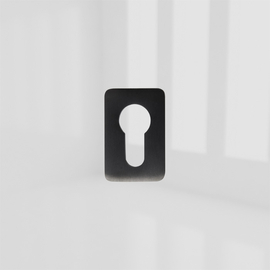 ASPIRE ESCUTCHEON PLATE BRUSHED GRAPHITE product photo