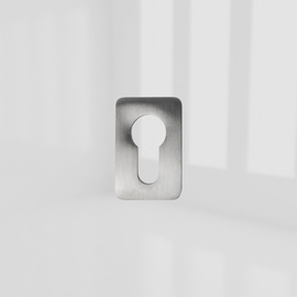 ASPIRE ESCUTCHEON PLATE ST/ST BRUSH product photo