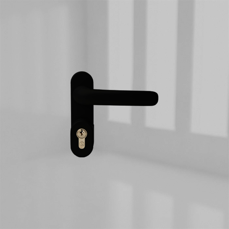 OUTSIDE ACCESS C/W LEVER & CYLINDER BLACK product photo