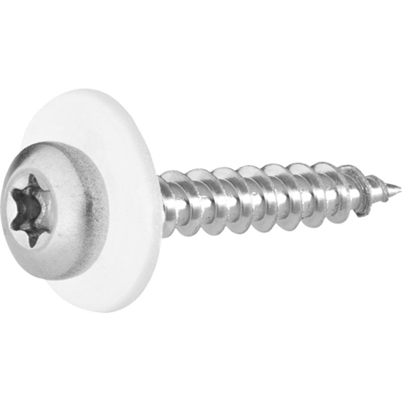 greenteQ FB винт 3.9x22 TX15 w.Polys ch A2 бял VE50 Produktbild BIGPIC L