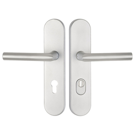 greenteQ Residential entrance door - protective cover	DG61.S216.ZA.AL.F1.NS Aluminium stainless steel product photo