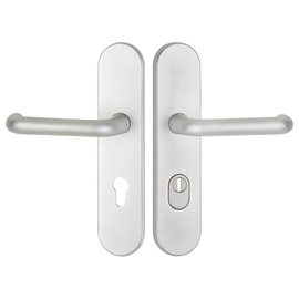 greenteQ Residential entrance door - protective cover	DG60.S216.ZA.AL.F1.NS aluminium product photo