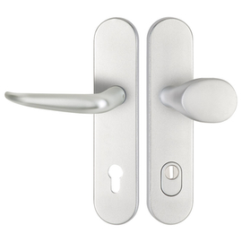 greenteQ House entrance door protection changeg	DG65.S216.ZA.AL.F1.NSWK Aluminium aluminium set product photo