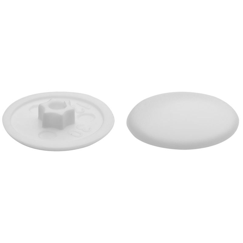 greenteQ Tapas para tornillo de marco T30 blanco Ral 9010 foto del producto BIGPIC L